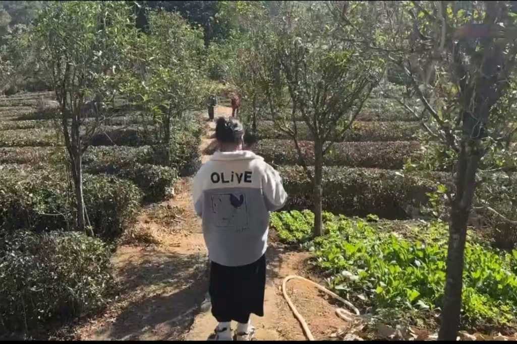 ɽϣƽ԰˹