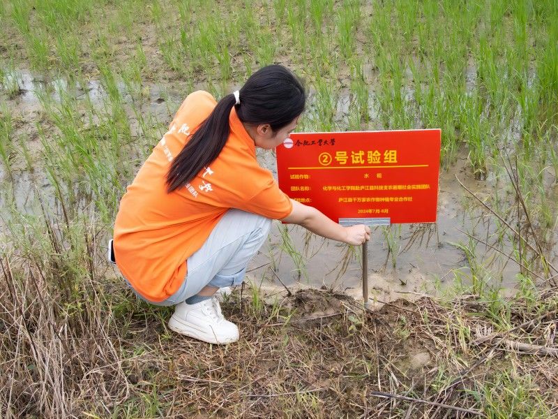 图1 团队成员正在进行试验田划分