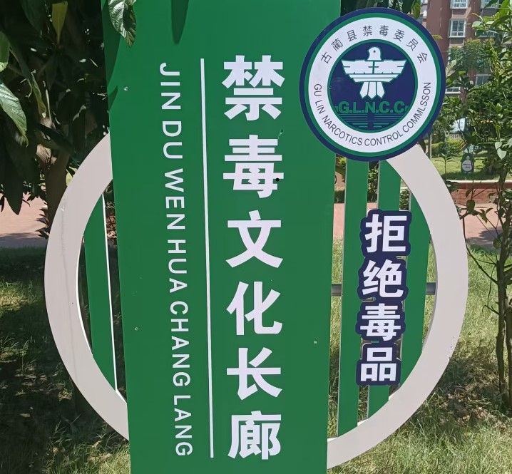ʵܽ᣺ңǰ