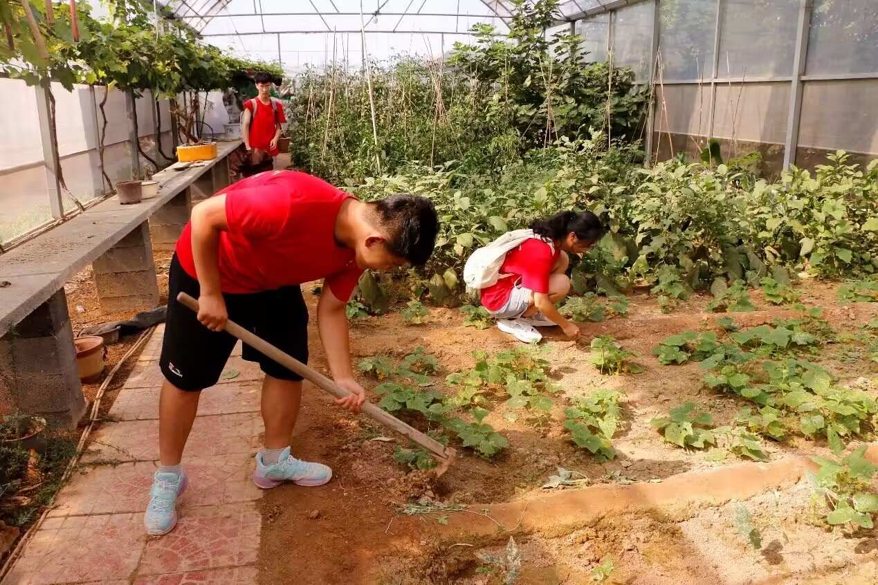 Զ|ˮʵٹԪ