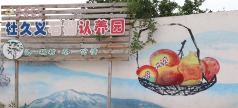 Ժѧ磺ʯϵ۫壬Բ