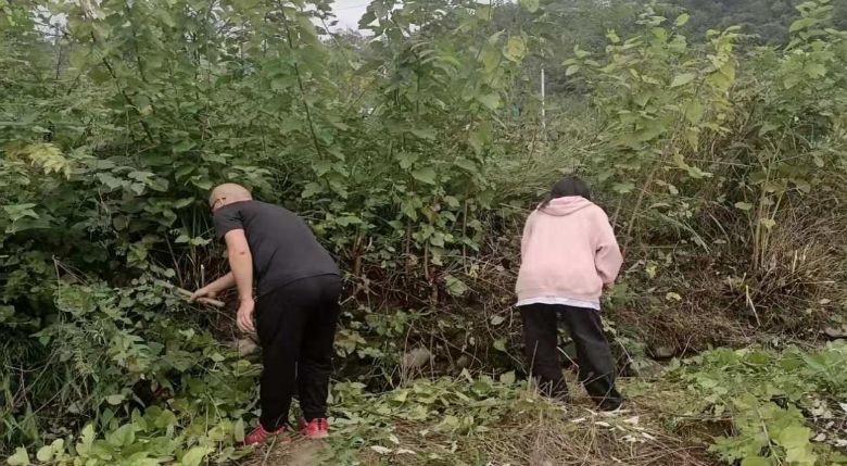 ഺ硪úˮдТϰ׵