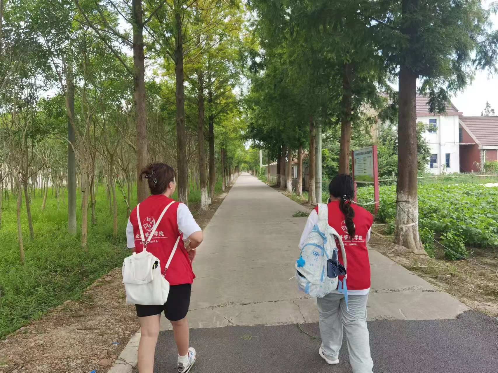 Сǻ밮Ĵճ˵ů֮