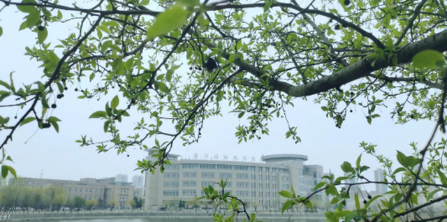 辽宁石油化工大学“五四青年节”宣传片：热爱