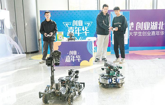 ��Ⱥ��ѧ�����׷�ѡ�񡰴��ں�����