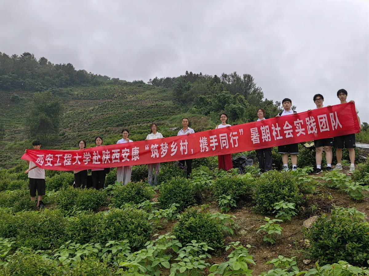 总结1