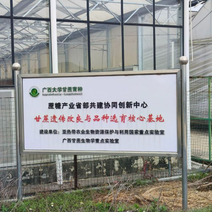 �����з��������Ƿ�չ������У������۲�ҵ�� ��״��ʵ��̽��