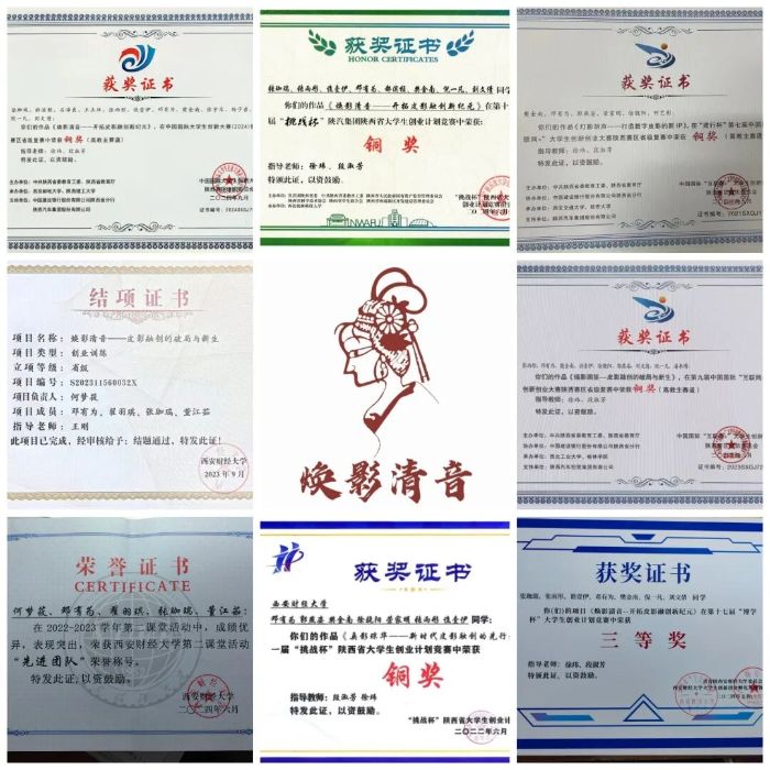 �����ƾ���ѧ����Ӱ�����ӡ���̽��ƤӰ�����ѳ����淢չ��·��