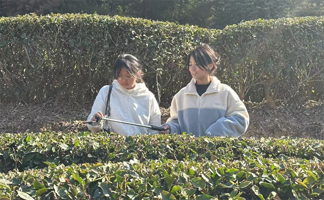 ����ʦ����ѧѧ�������ƽ���У�̽Ѱ�����ں���·�ӣ�������ɽ���ҵ����