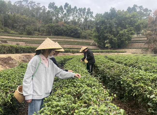 ͬ�ط��Ÿ�������ӳ��̨���ġ����Ǹ���ũ�ִ�ѧֲ�ﱣ��ѧԺ���ġ���̨ӳ�졤���Ų��ʵ����ʵ���