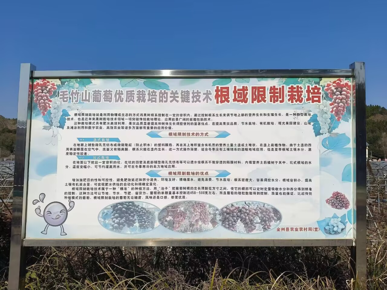 ��н���洫�������Ÿ�ë��ɽ�忪չ����ɫ����+��ҵ���ˡ�ר������