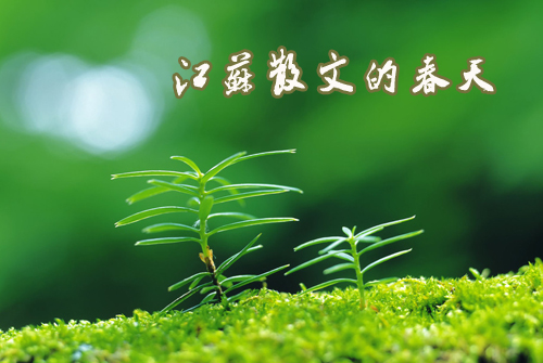 ����ɢ�ĵĴ���