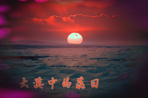 ��Į�е�����