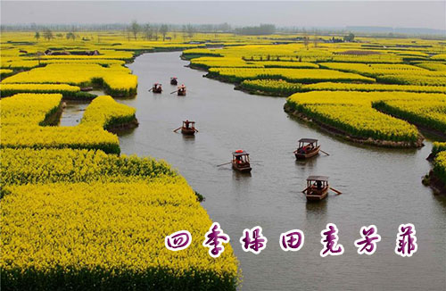 ļﾺ