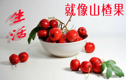 �������ɽ髹�