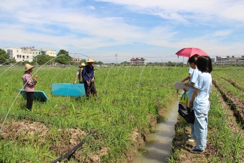 ǧ�깱�������᣺һ��ǧ�깱����δӡ���ʧ���ػ���䣿