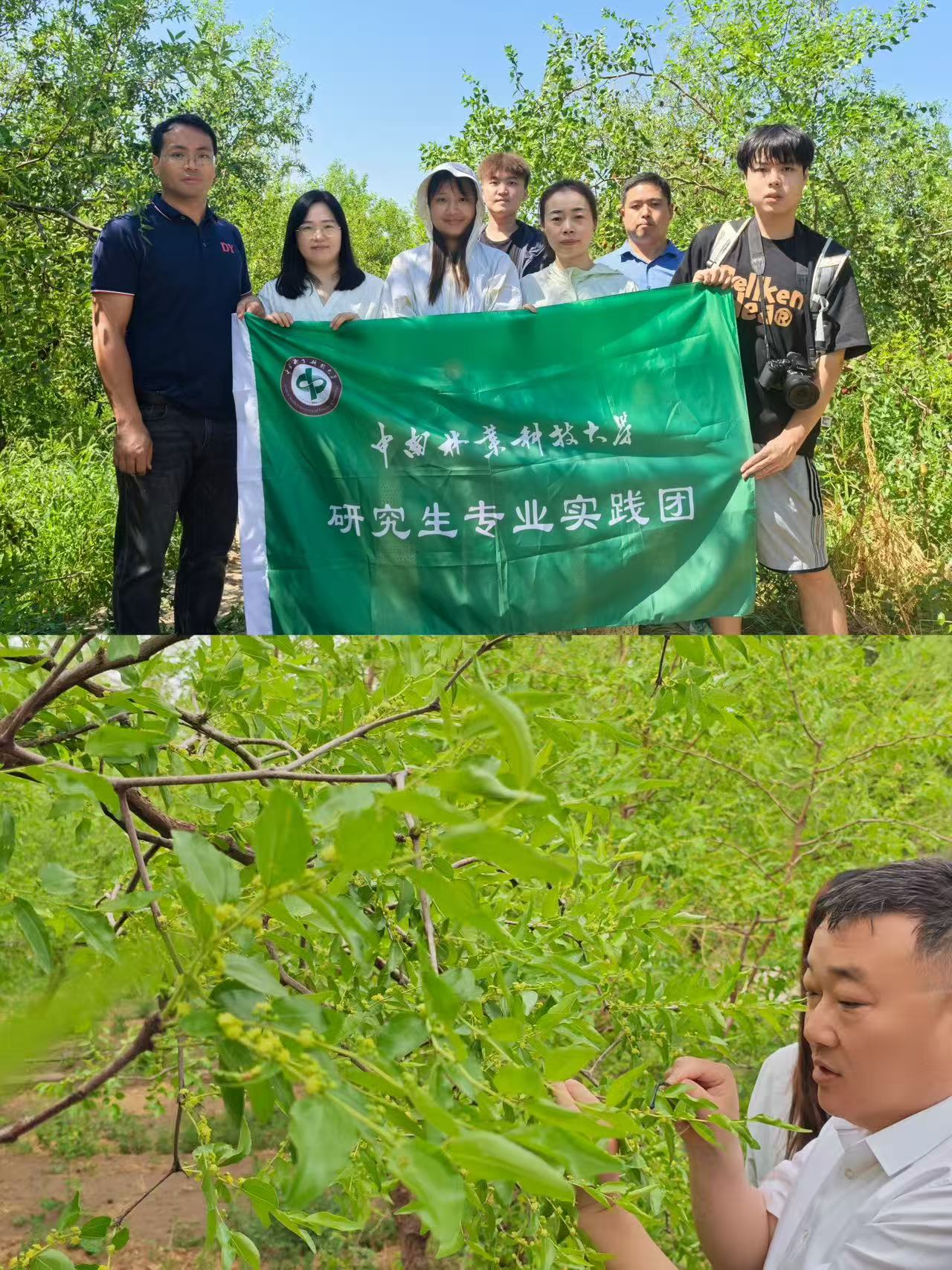 ������ҵ�Ƽ���ѧ���½��п�ѷ��չ�����ִ�����Ʒ������Ӧ��ʵ��