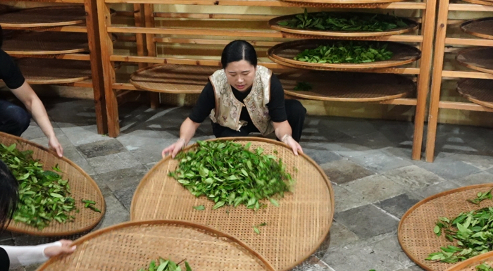 华侨大学云时茶烟实践队摄