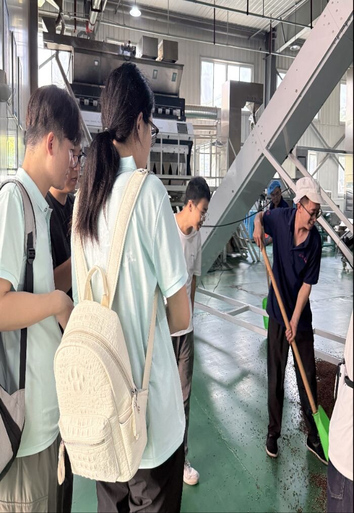 �����紫����������ֱ����¤��