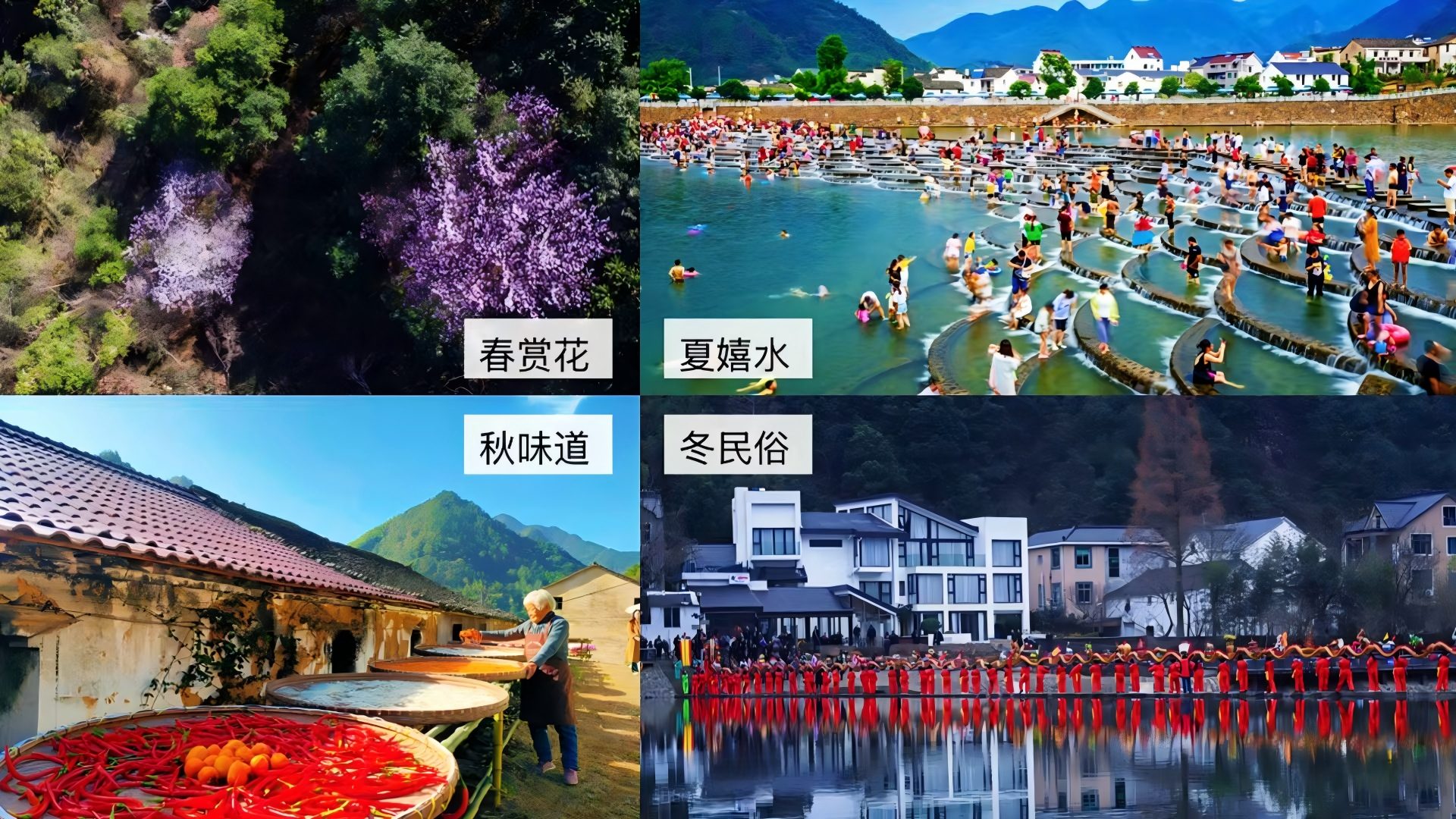 文兴赋能乡村实践团了解“龙鳞四季”文旅品牌四季运营规划
